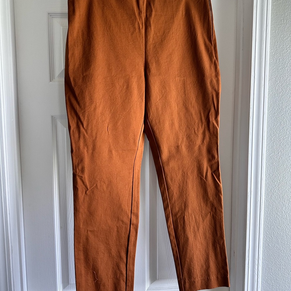 a new day Men's Burnt Orange Chinos
